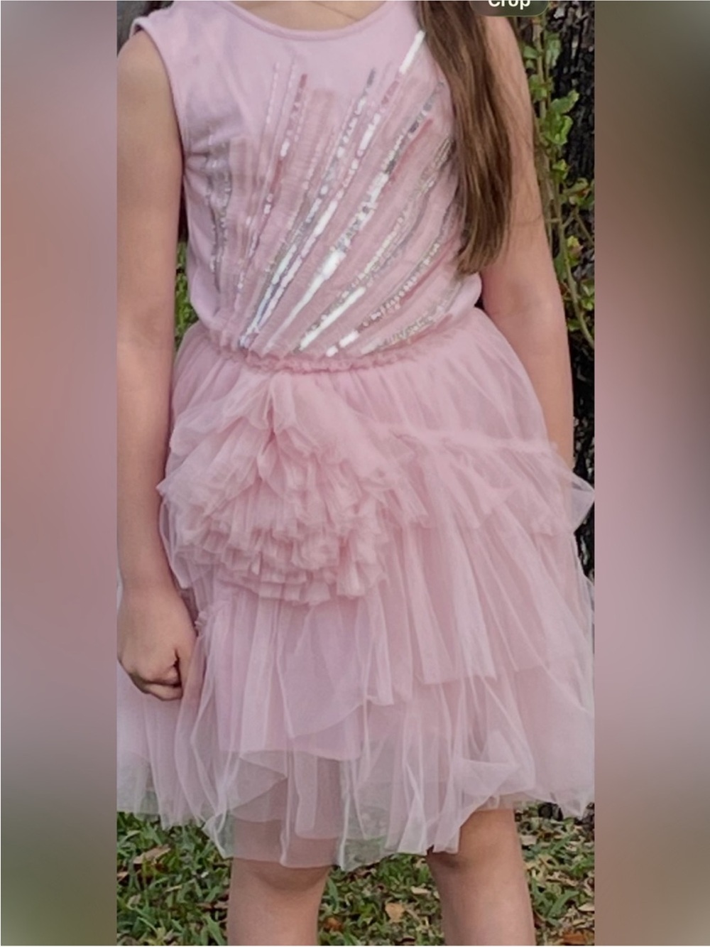 Tutu Du Monde Dusty Rose Poppy dress with Sequin Bodice Size 4-5